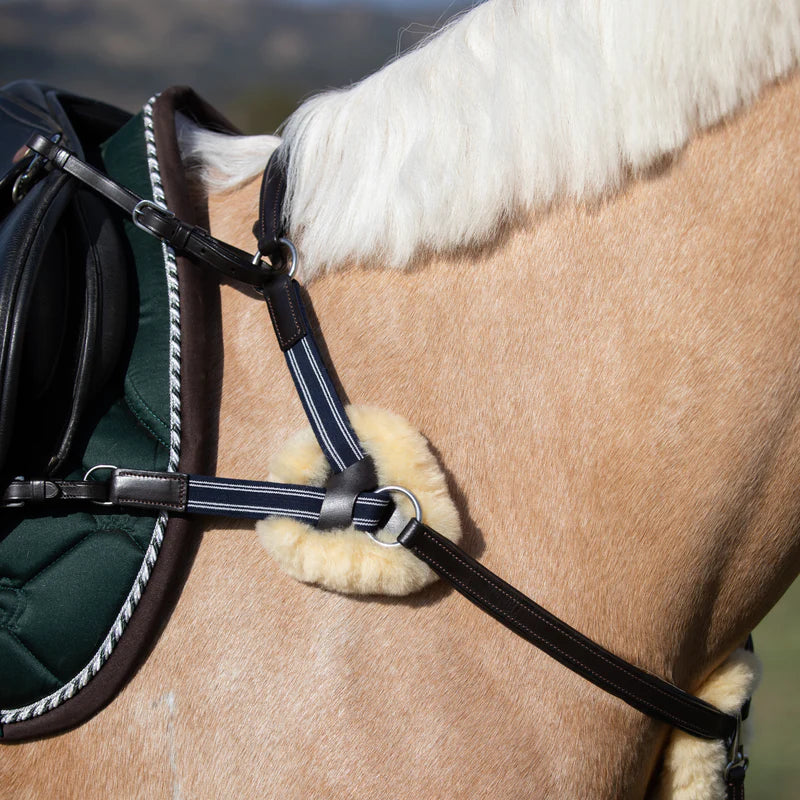 Antiqua 5 Point Leather Breastplate