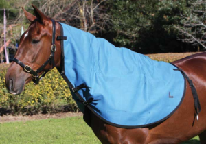 ZILCO N/RUG RIP PROTECT