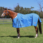 ZILCO RIP PROTECT CANVAS RUG
