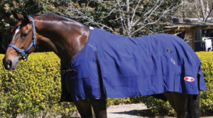 ZILCO BLUE MOUNTAIN CANVAS RUG