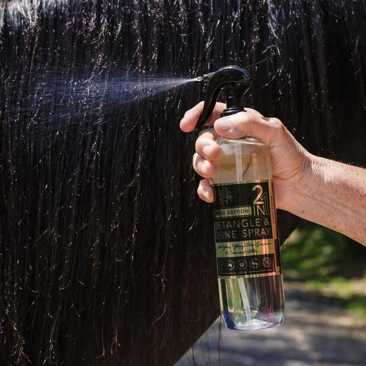 HAIRY PONY 2 IN 1 DETANGLE & SHINE