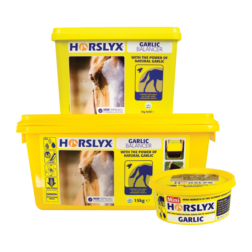 HORSLYX
