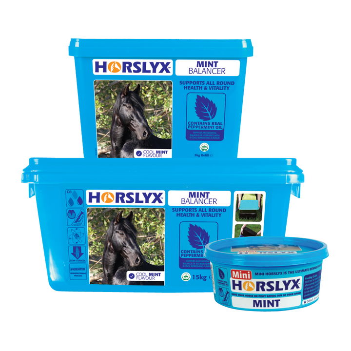 HORSLYX
