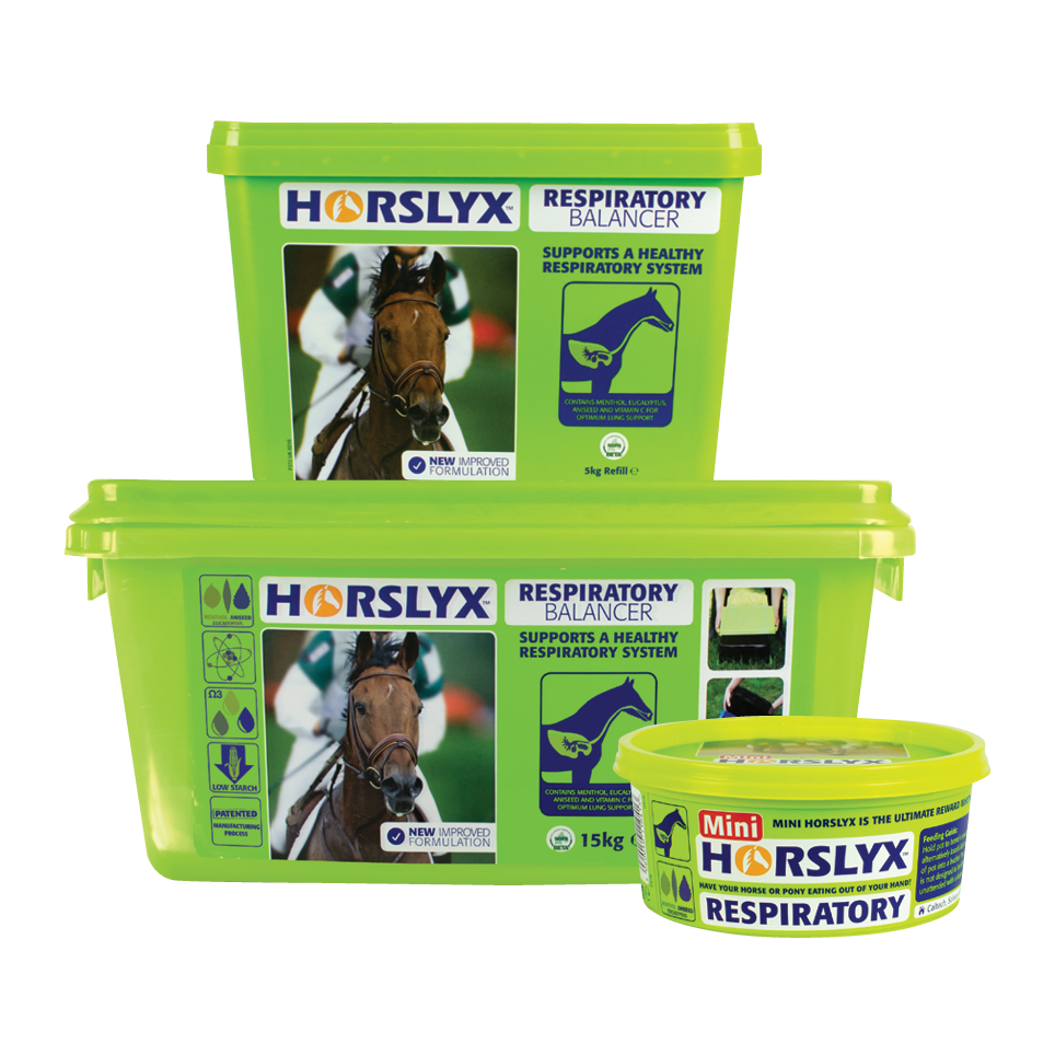 HORSLYX
