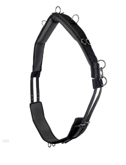 Deluxe Lunge Roller Small