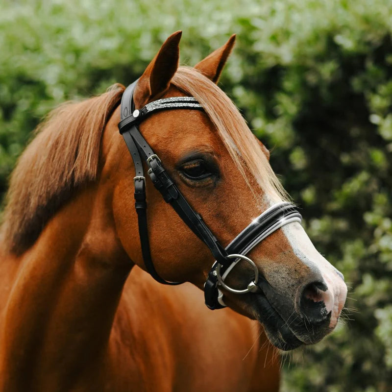 Princess Bridle - Lumi Pony
