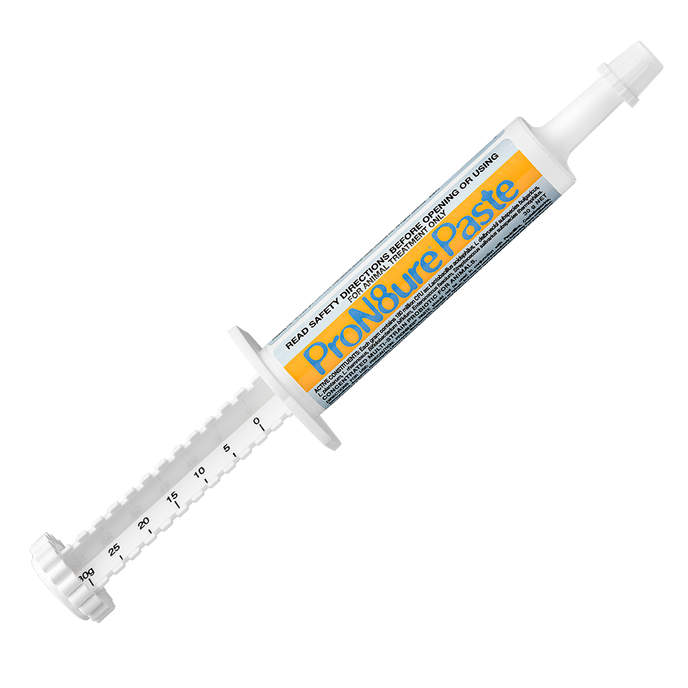 PRON8URE (PROTEXIN) PASTE 30G