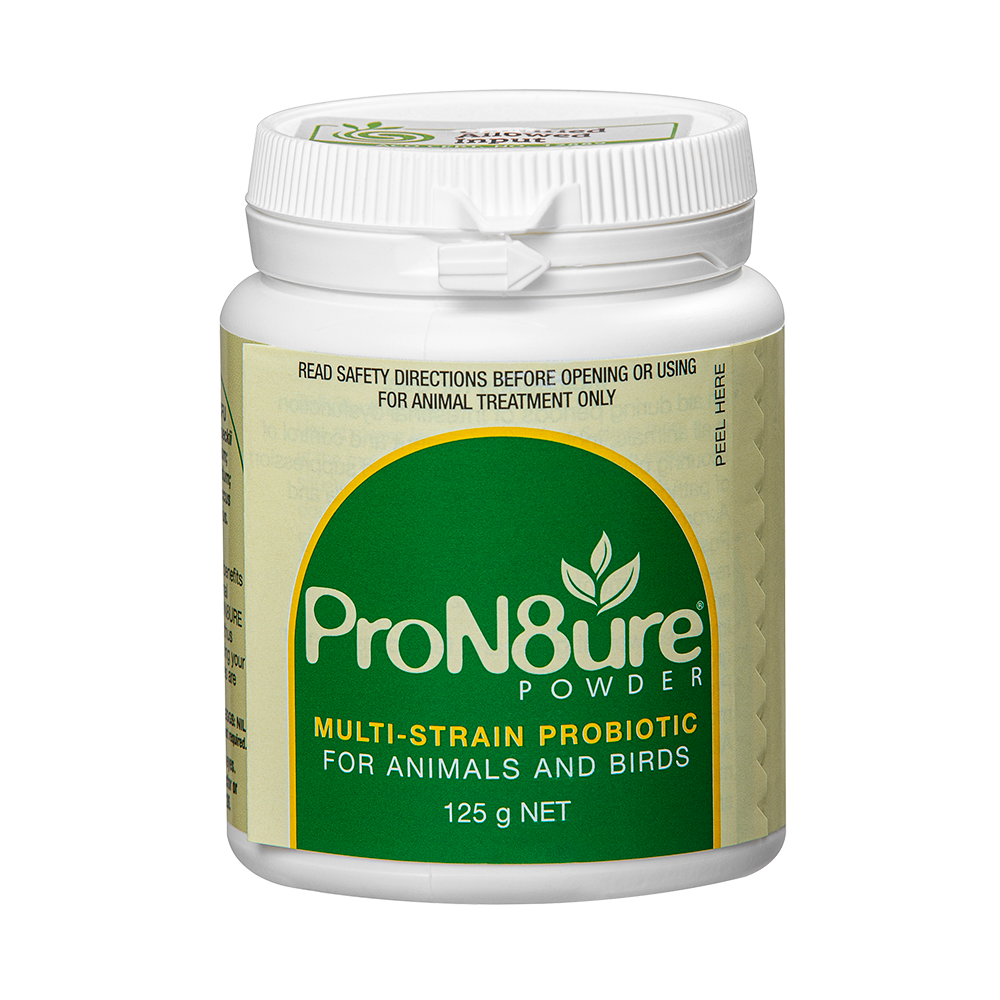 PRON8URE ( PROTEXIN ) POWDER