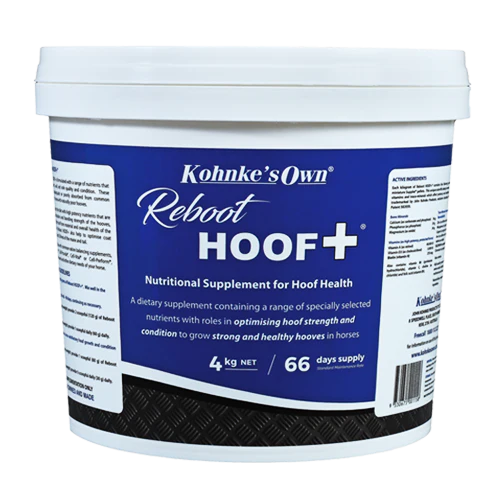 KOHNKE REBOOT+ HOOF