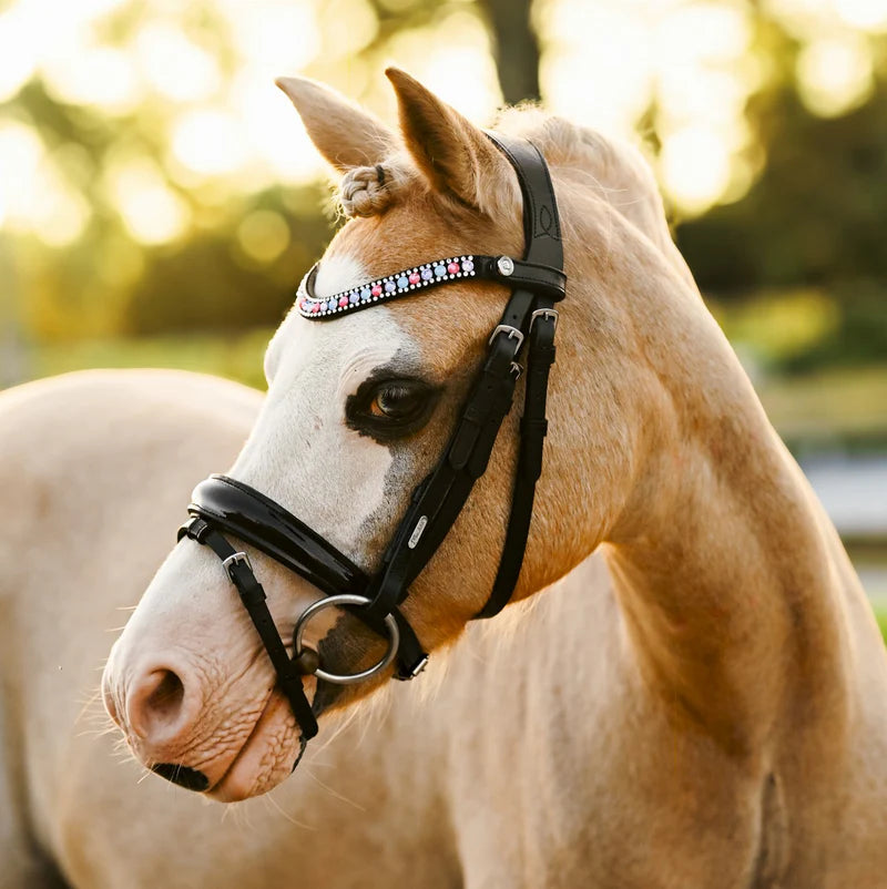 Unicorn Bridle - Lumi Pony