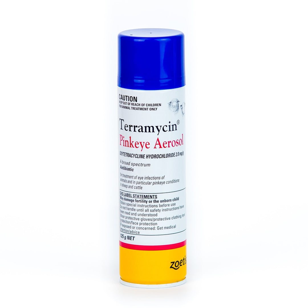 TERAMYCIN PINKEYE AEROSOL 125G
