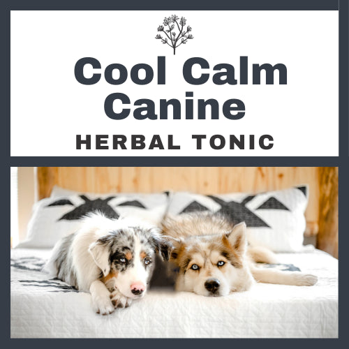 NATURES FARMACY CANINE CALMER TONIC 200ml