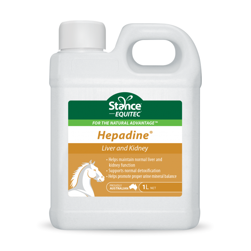 STANCE HEPADINE 1 Litre