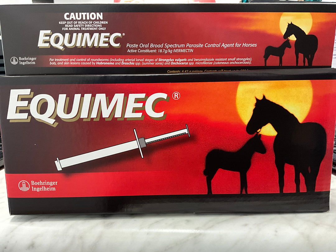 EQUIMEC PASTE