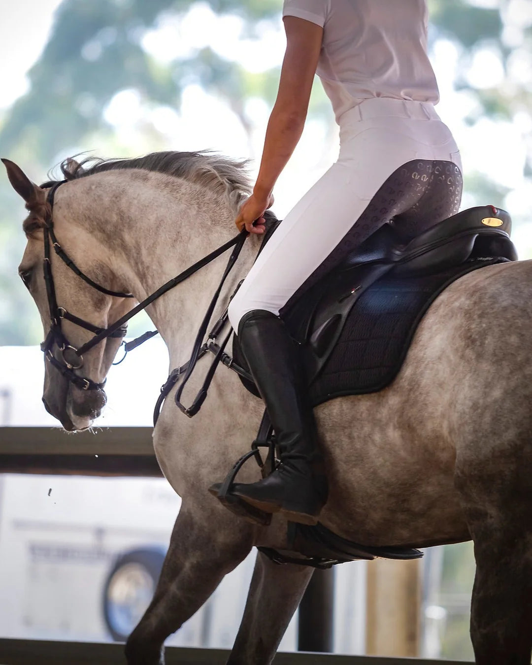 QJ LAUREN WHITE/GREY SEAT BREECH