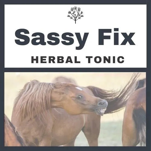 NATURES FARMACY SASSY FIX HORMONE TONIC 500ml