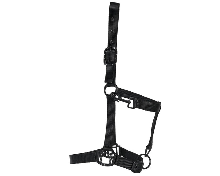 RANCHER HALTER WITH BLACK DETAILS