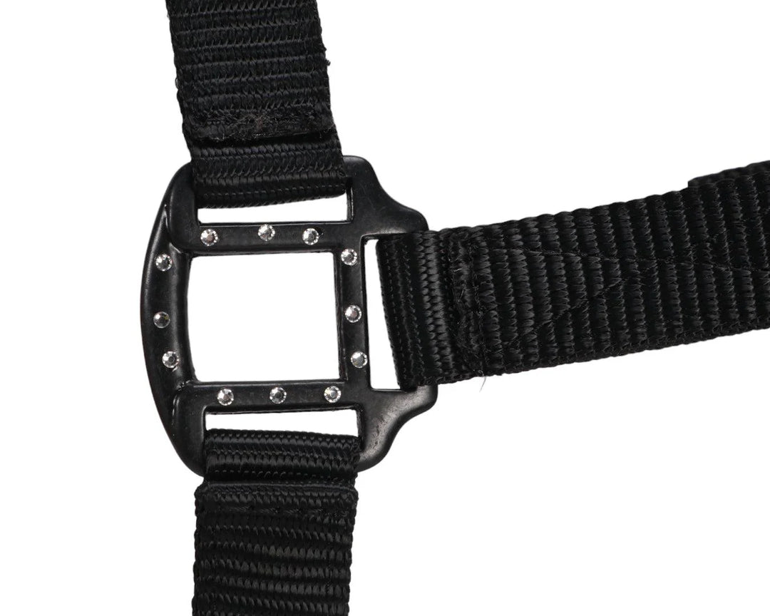RANCHER HALTER WITH BLACK DETAILS