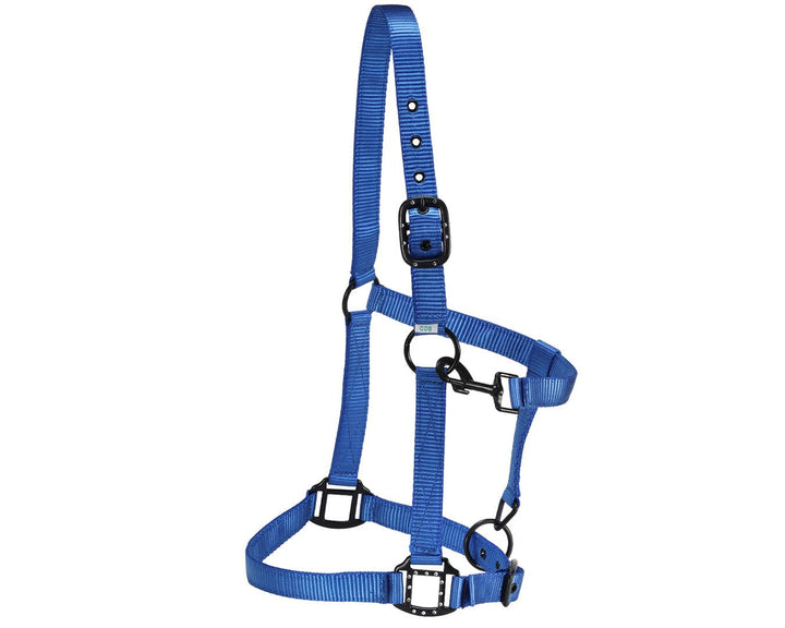 RANCHER HALTER WITH BLACK DETAILS