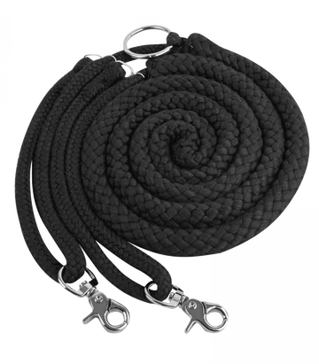 WALDHAUSEN LUNGING SYSTEM