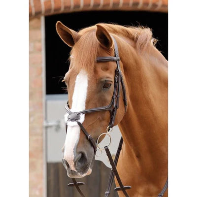 PE Sport Glorioso Grackle Bridle