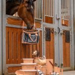 WALDHAUSEN DACHSHUND DIETER HORSE TOY