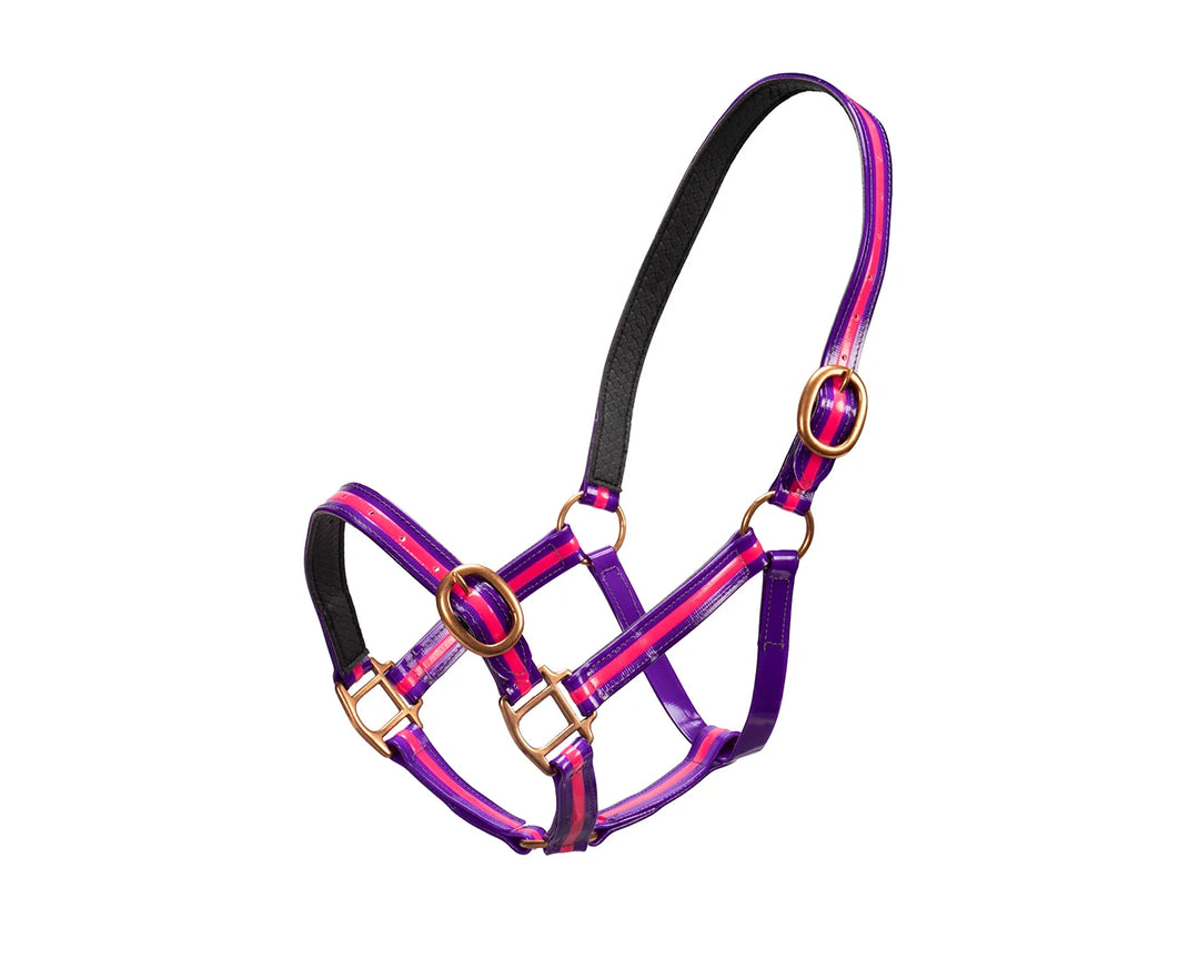 1” BUCKLE HALTER COPPER HARDWARE- PINK/PURPLE
