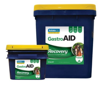 GastroAid Recovery