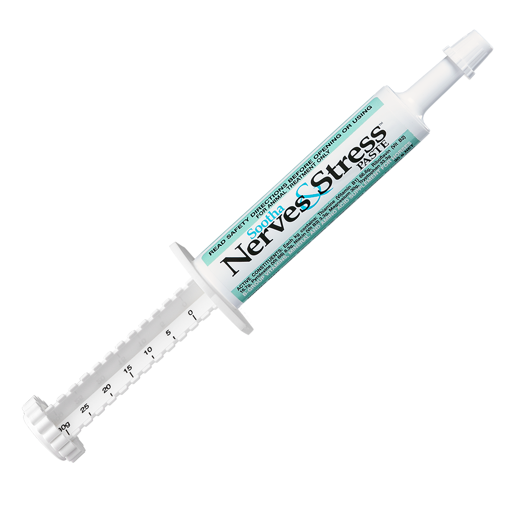 SOOTHA NERVES & STRESS PASTE 30G – Wangaratta Equine Emporium