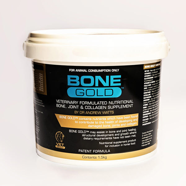 EQUINE BONE GOLD