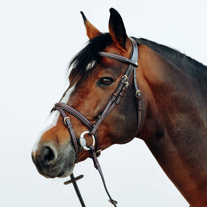 HZ BUXTON BRIDLE