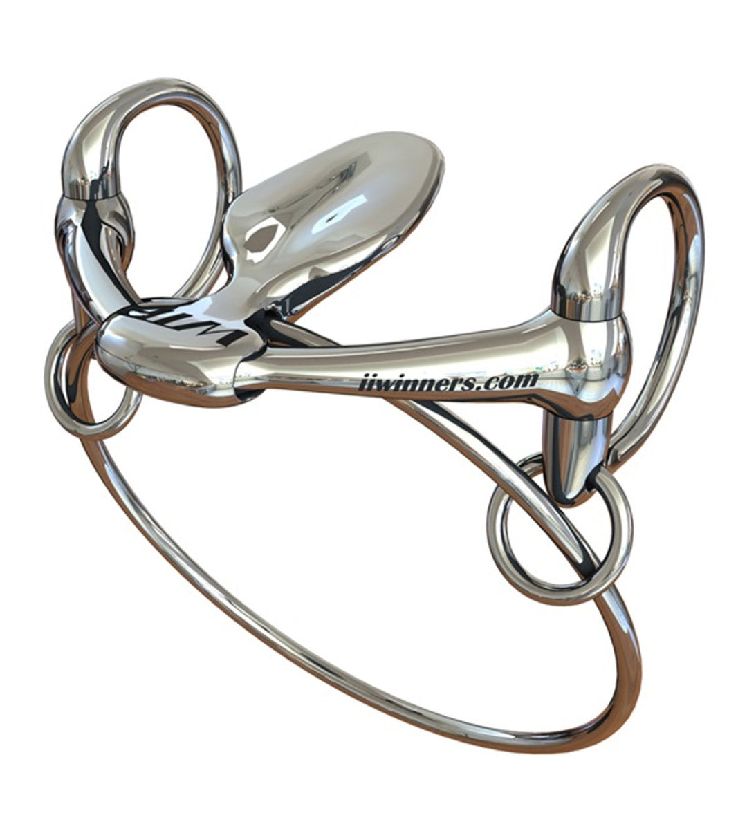 WTP RING BIT 5"