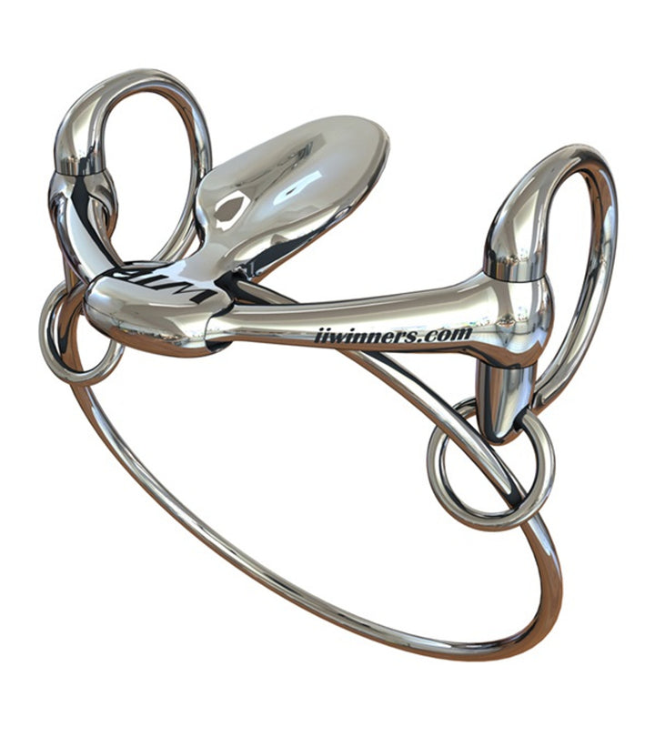 WTP RING BIT 5"