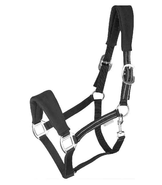 WALDHAUSEN HALTER ALCANTARA